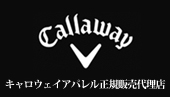 LEFCApEFA̔
