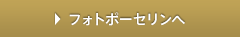 フォトポーセリンボタン